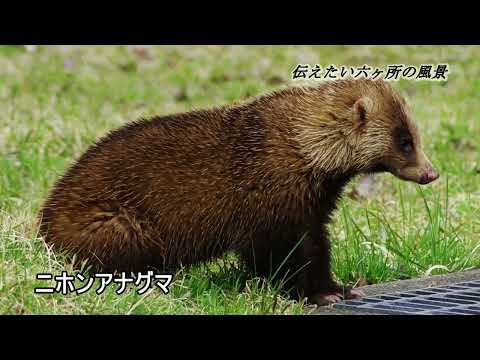 伝えたい六ヶ所の風景①