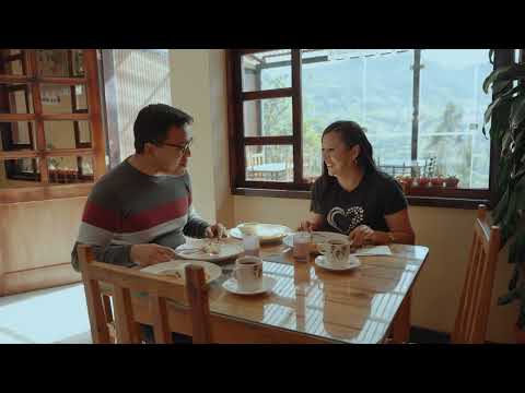 Vive Palmas y Sevilla de Oro