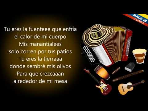 Un solo cuerpo - Los Chiches Vallenatos (Letra)