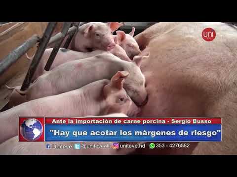 El impacto de la importación de cerdos