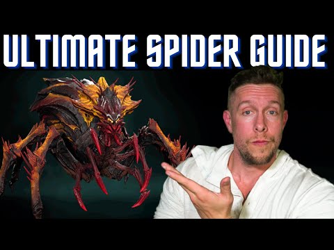 HOW TO BEAT THE SPIDER: BEST TEAMS & CHAMPIONS