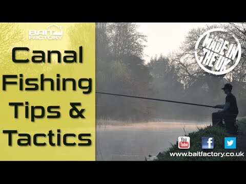 Canal Fishing with Dominic Garnett: Learn how to catch on pole and feeder