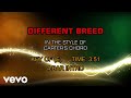 Carter's Chord - Different Breed (Karaoke)