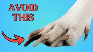 The Solution to Overgrown Nails You’ve Been Waiting For