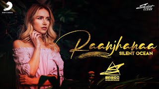 Raanjhanaa (Lofi Flip) song artwork