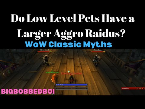 Do Low Level Pets Have a Larger Aggro Radius? WoW Classic Myths