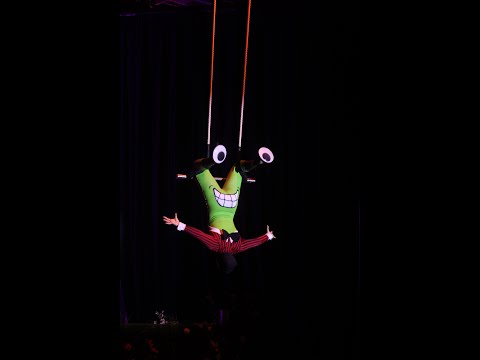 Promotional video thumbnail 7 for Aerial and Entertainment