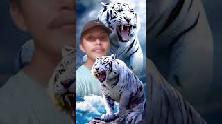 Download lagu Aku berada di berada pendamping ku khodam harimau putih ππππ
 mp3 Download lagu Aku berada di berada pendamping ku khodam harimau putih ππππ
 mp3