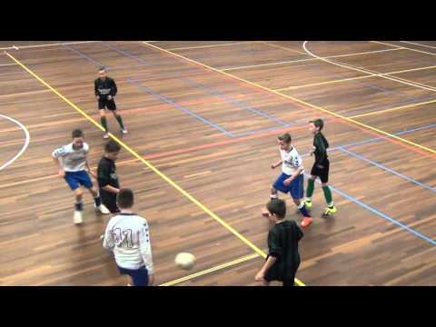 DTS D1 - Stoop Bloembollen D1