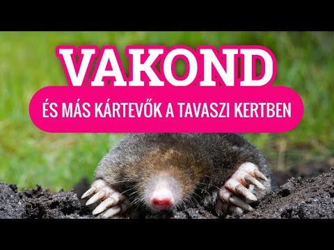 Vakondok és más kártevők a kertben - kertészeti tanácsok