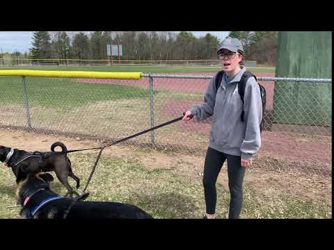 Staff Update - Kaylin