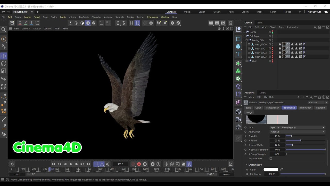 &Aacute;guia careca animada realista Modelo 3D