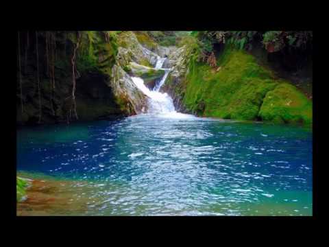 #13 Ep. Galateni 5:22-23, Roada Duhului Sfânt (2)