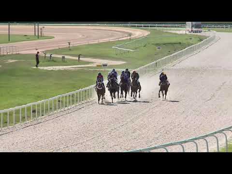 2020.07.05. 06. futam - NAGYKUNSÁGI HENDIKEP (IV.o.) (szintetikus pálya)