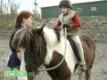 Elmo S World Horses