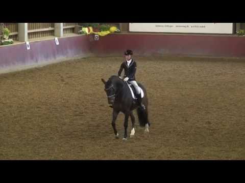 Weil der Stadt 2015 - Sabine Klenk - Friedolin - Dressurpferdeprf. Kl. M