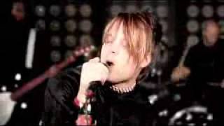 Emil Bulls - Newborn.flv