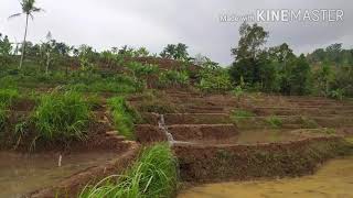 Download lagu Pilemburan - Asep Darso mp3 Download lagu Pilemburan - Asep Darso mp3