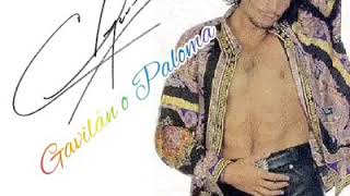 CHAYI FANS CHAYANNE GAVILÁN O PALOMA