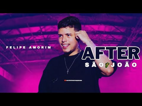 FELIPE AMORIM - MEDLEY TRAP 3.0 (REP. SÃO JOÃO)