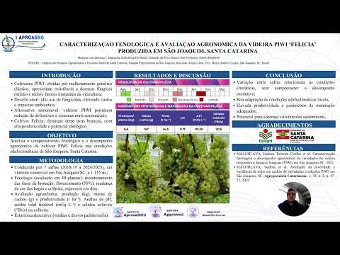 CARACTERIZAÇÃO FENOLÓGICA E AVALIAÇÃO AGRONÔMICA DA VIDEIRA PIWI FELÍCIA PRODUZIDA EM SÃO JOAQUIM/SC