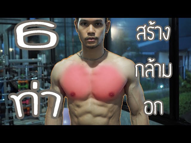 6 ท่าสร้างกล้ามอก [Chest Workout]