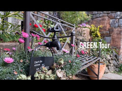 温室のウィンターガーデンをセットアップする方法: 緑のコーナーを作るためのインスピレーションあふれるアイデア  庭園