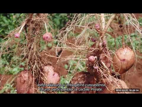 2018 03 21 PM Public Teaching in Romanian - Cursuri publice în română