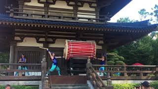 Japan traditional Taiko drummers live at Walt Disney World Epcot World Showcase