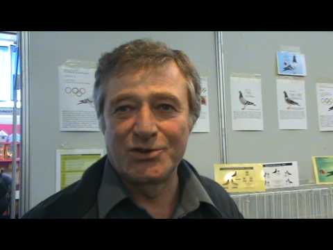 Cluj PIF oct 2009 interviu Romulus Matei CJ