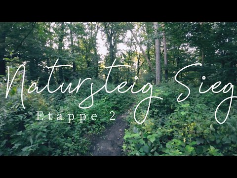 Natursteig Sieg | Etappe 02 | Hennef–Stadt Blankenberg I MomentsOfHike | 2024