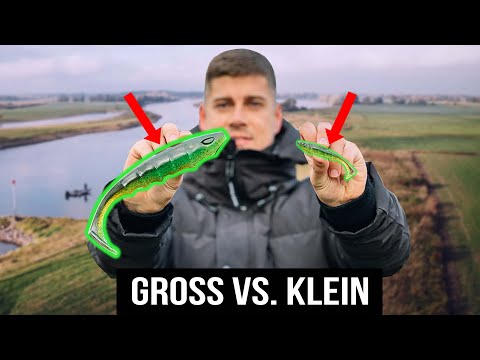 Fängt man Zander besser mit großen Ködern? Der Vergleich!