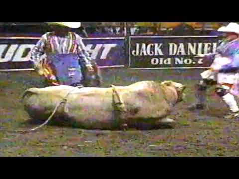 Dirty Dancer bucks Cody Custer - 98 PBR Boise