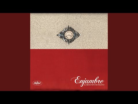 Ausencia de cocina - Enjambre