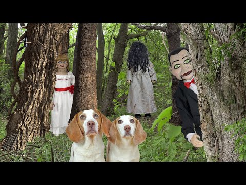 Dogs Find Scary Dolls in the Woods!