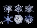 The Science of Snowflakes