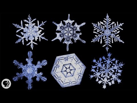 The Science of Snowflakes Video