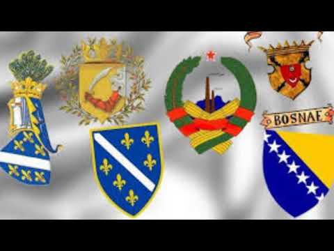 DŽANA HASIĆ, HISTORIJSKI OSVRT