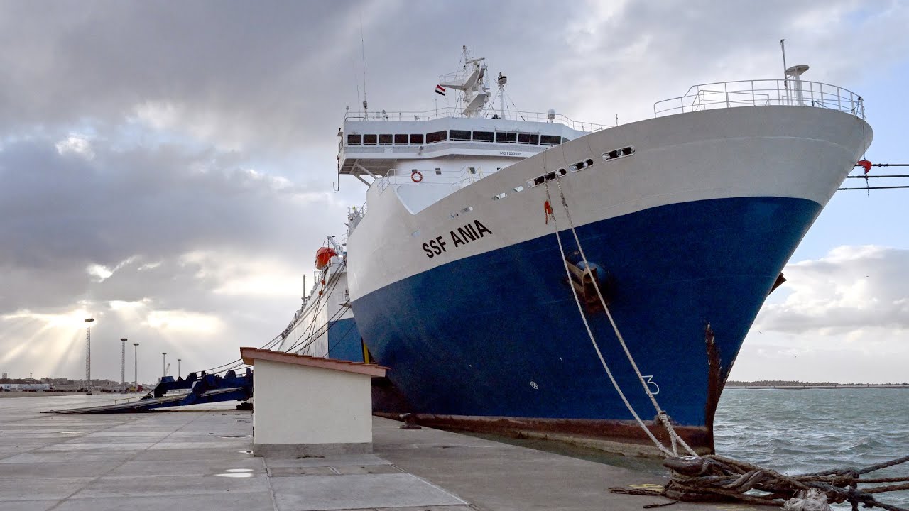 صورة بعنوان: Youtube-Image