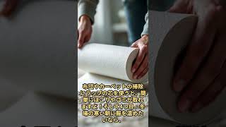 無題動画 14