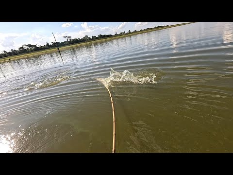 Que isso rapaz..Na varinha de bambu o negócio é sério Pescaria Raiz no Rio Grande 