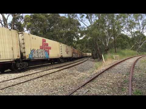 SCT 5PM9 at MBJ with 5 locomotives