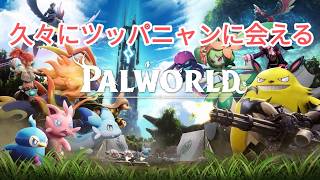 【パルワールド配信】禁猟区行ってみます？