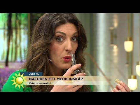 Förför med häxmetoder - Nyhetsmorgon (TV4)