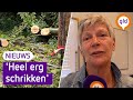 Deze schade veroorzaakte storm Poly in Gelderland