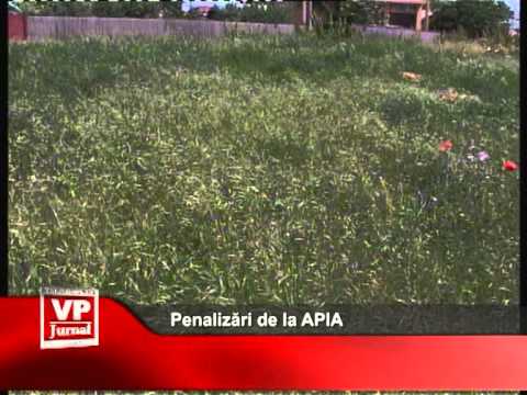 Penalizări de la APIA