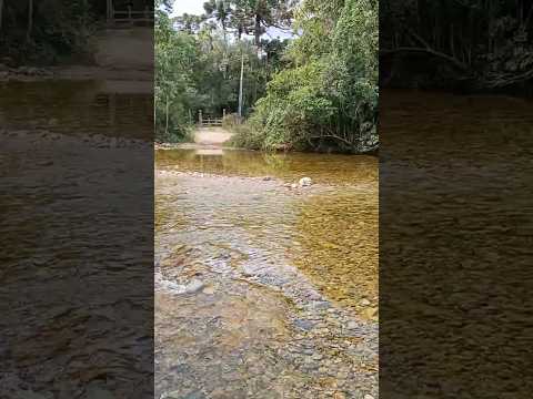 Rio de águas cristalinas na Vargem do Braço! 🌿💧 #shorts