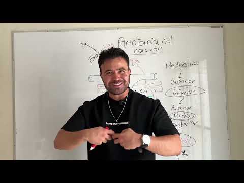 Anatomía del corazón (Generalidades)