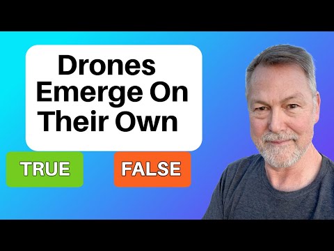 Beekeeping | Do Male Drone Honey Bees Emerge On Their Own?