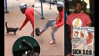 Andre Robinson - Brooklyn Cat Kicker- assault and verdict video